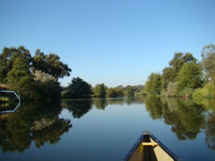 view of the river from the boat